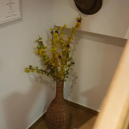 Casa Rural Balbino - As Penadradas Suarbol